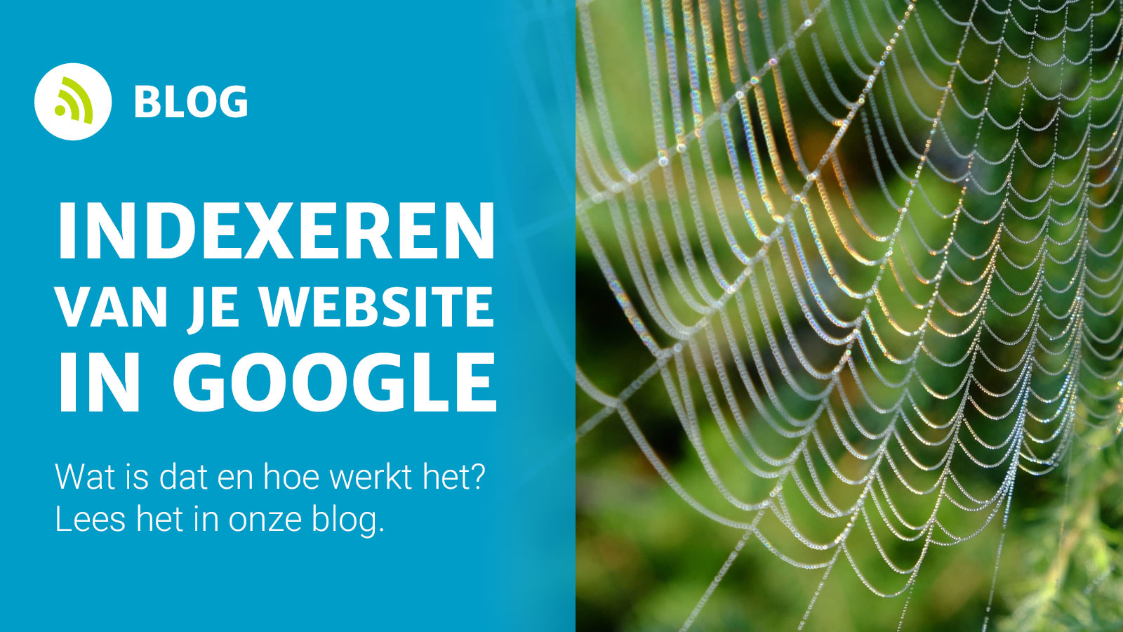 Hoe Werkt Het Indexeren Van Je Website In Google Holiday Media